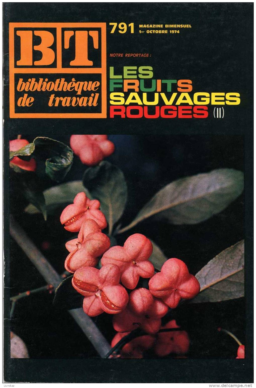 BT N°791 (1974) : Les Fruits Sauvages Rouges (2). Bibliothèque De Travail. La Scierie De M. Berthet à Chissey (Jura) - Ciencia