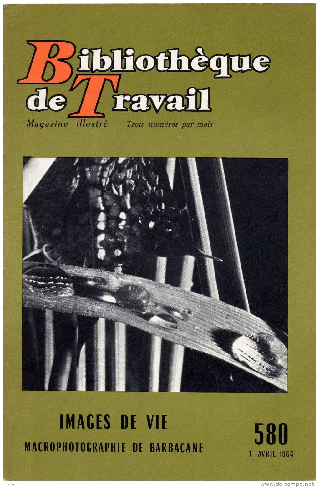 BT N°580 (1964) : Images De Vie, Macrophotographie De Barbacane. Bibliothèque De Travail. Freinet. Photographie - Ciencia