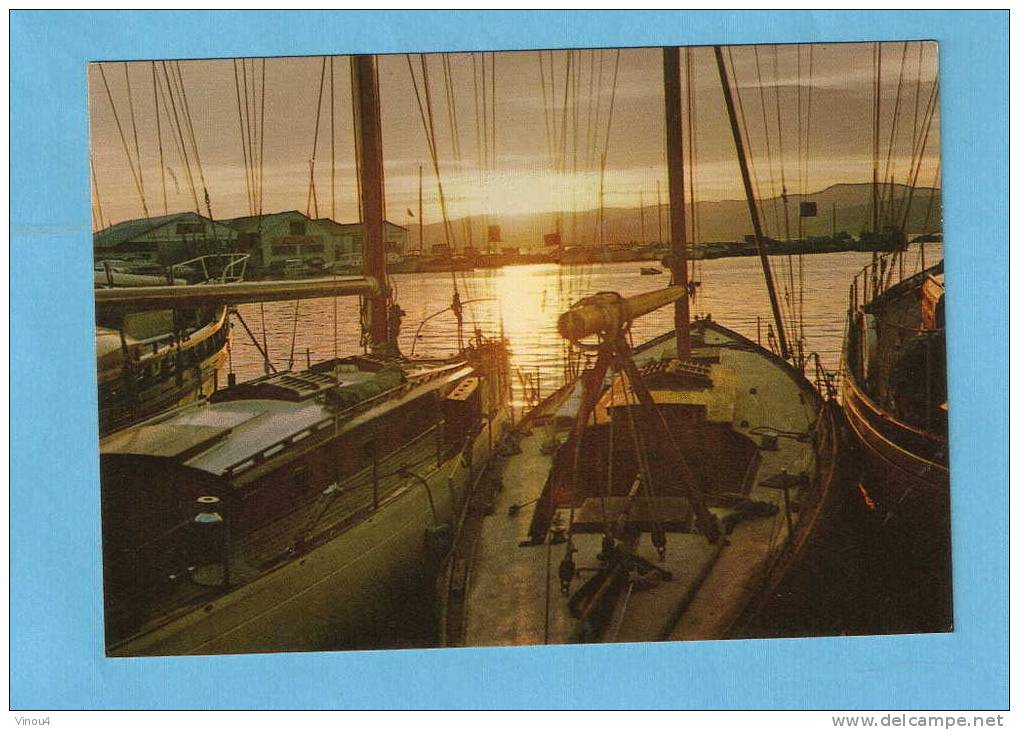 CPM - Coucher De Soleil Sur La Méditerranée - Bateaux - Contre La Lumière