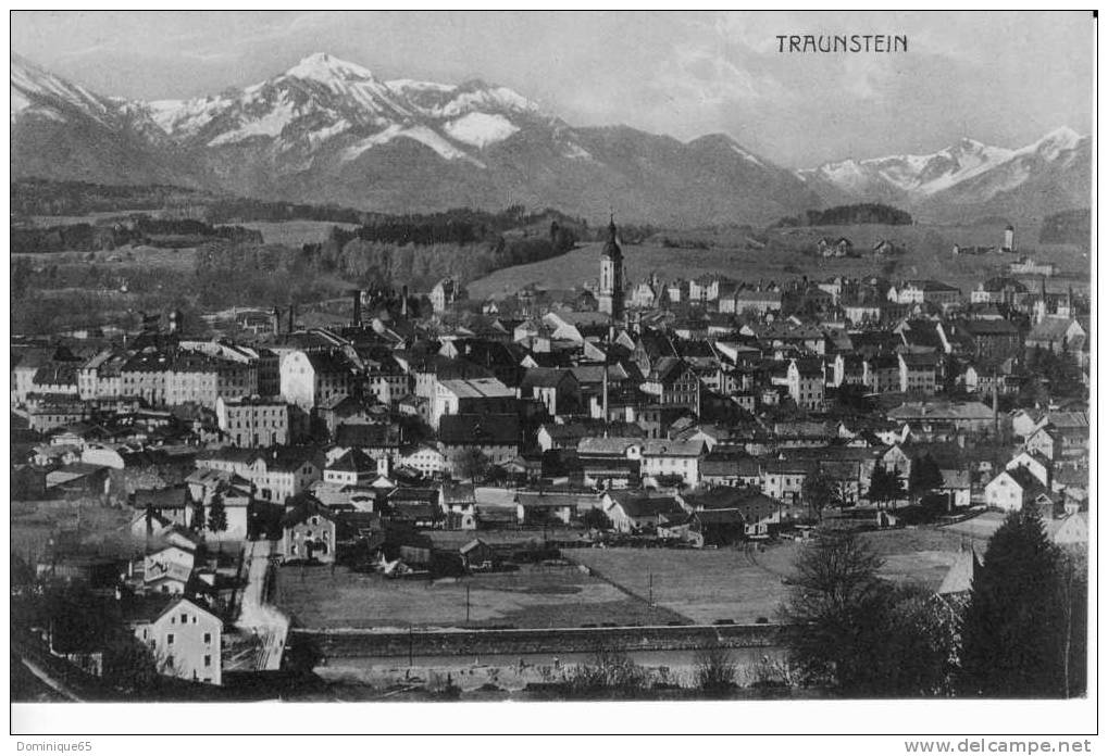 TRAUNSTEIN Beau Panorama De La Ville - Traunstein