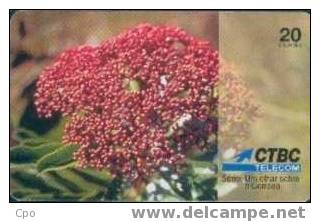 # BRASIL 9810A4 CTBC - As Flores 20  10.98 -fleurs,flore,flowers-  Tres Bon Etat - Brasilien