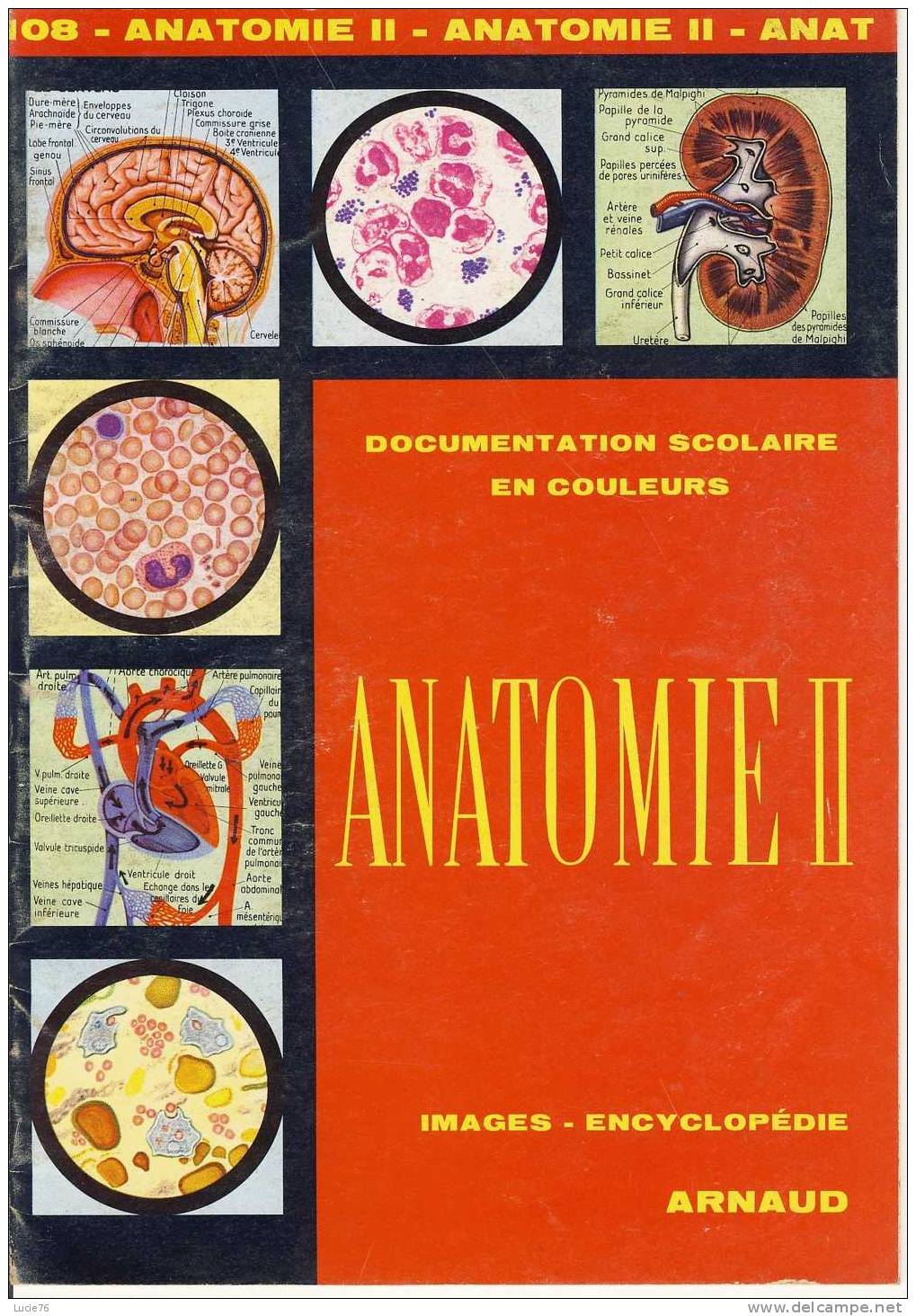 Documentation Scolaire -   ANATOMIE  II -  N° 108   . - Lesekarten