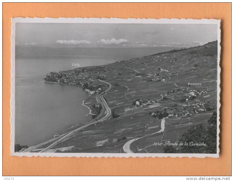 F899  Route De La Corniche Dans Le Vignoble Du Lavaux, Epesses, Cully, Léman - Cully