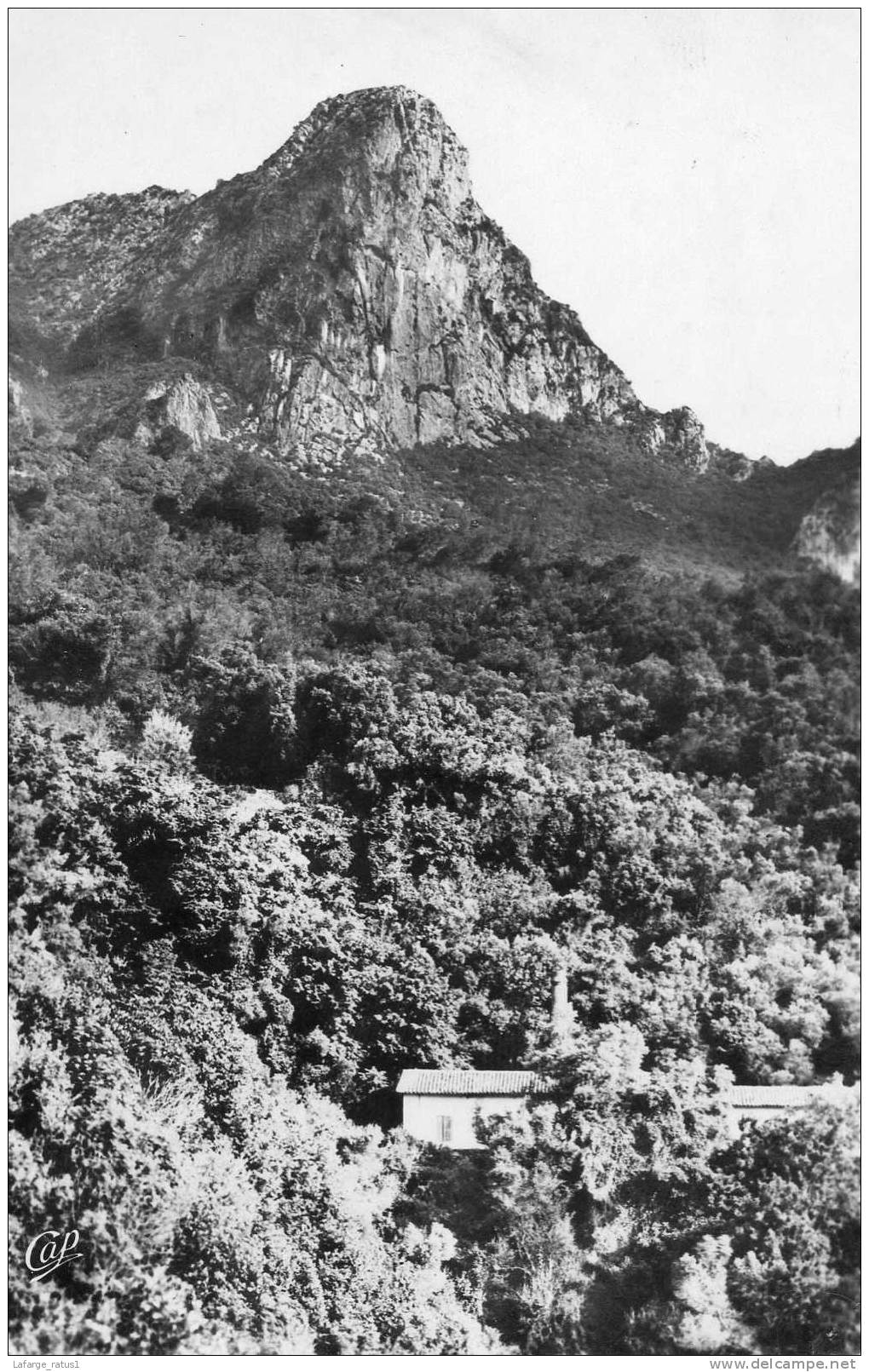 BOUGIE  LESAIGUADES ET LE PIC DES SINGES BON ETAT - Bejaia (Bougie)