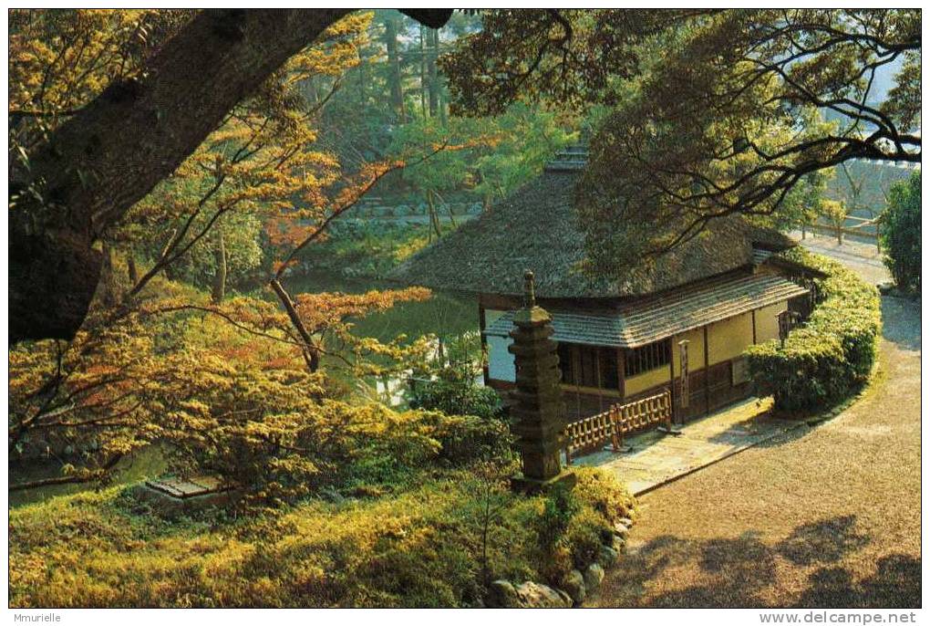 JAPON-JAPANESE TEA HOUSE IN AUTUMN-MB - Tokyo