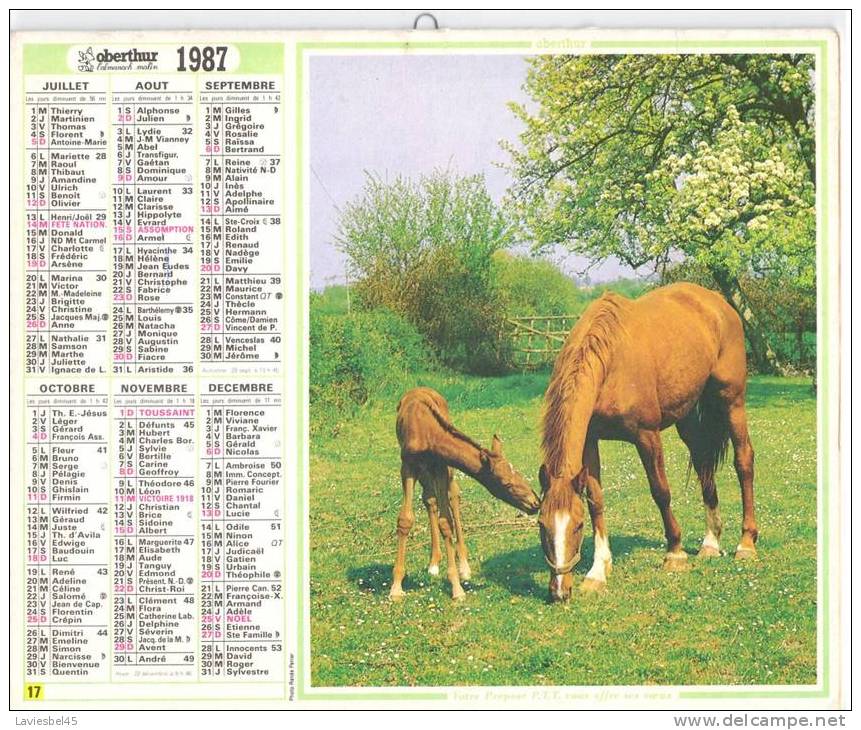 CALENDRIER  ALMANACH DES P.T.T. ANNEE 1987 - Oberthur N° 17 - Photos Renée Panier  Et Cl. Martin/milphoto - Formato Grande : 1981-90