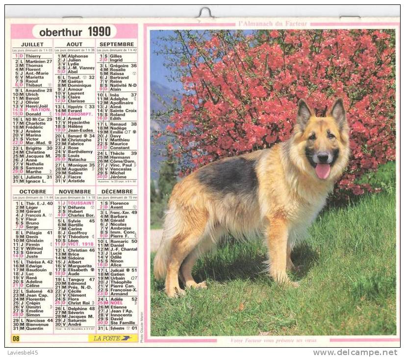 CALENDRIER ALMANACH DES P.T.T. ANNEE 1990 - Oberthur N° 08  - Photos  PIctor International  Et Claude Martin - Grand Format : 1981-90