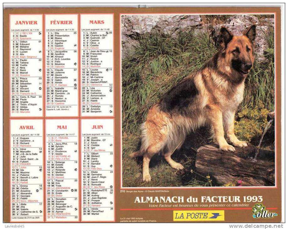 CALENDRIER ALMANACH DU FACTEUR . ANNEE 1993 - Oller 210 - Photos SCHAEFER/Zefa France Et Claude MARTIN/Slide - Tamaño Grande : 1991-00