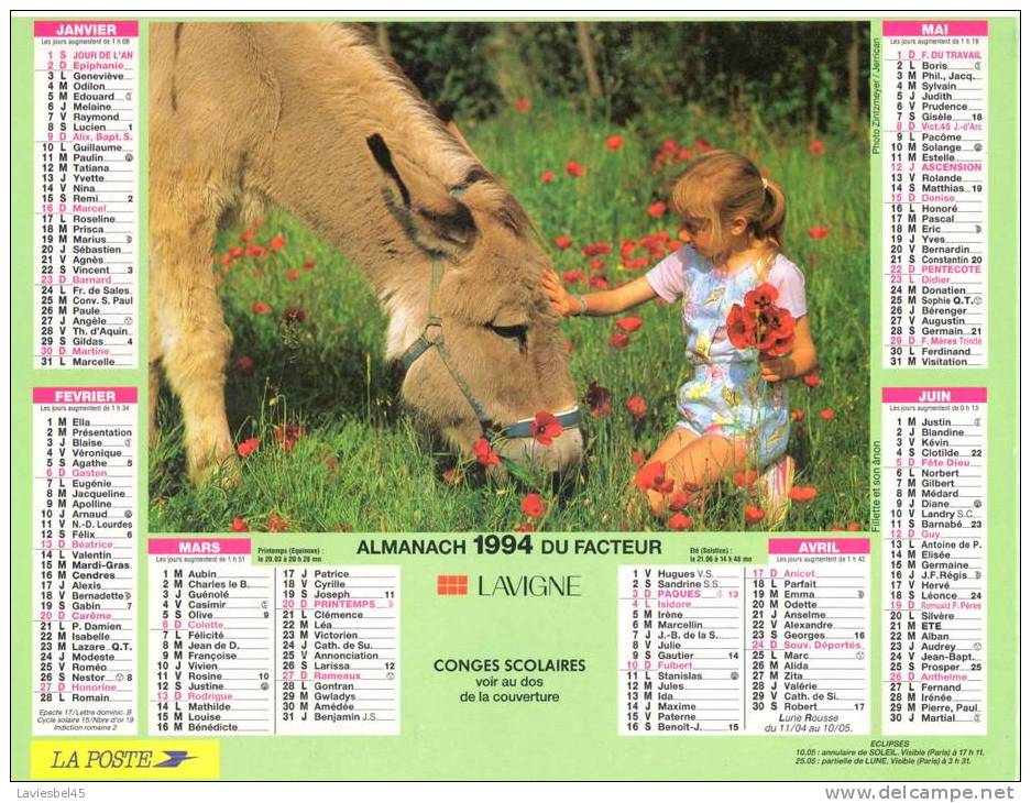 CALENDRIER  ALMANACH DU FACTEUR . ANNEE 1994 - Lavigne  -Photos Zintzmeyer/Jerrican  Et F. Nicaise - Big : 1991-00