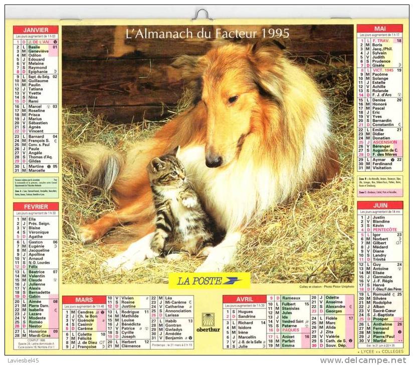 CALENDRIER ALMANACH DU FACTEUR . ANNEE 1995 - Oberthur  - Photos Pictor Uniphoto - Grand Format : 1991-00