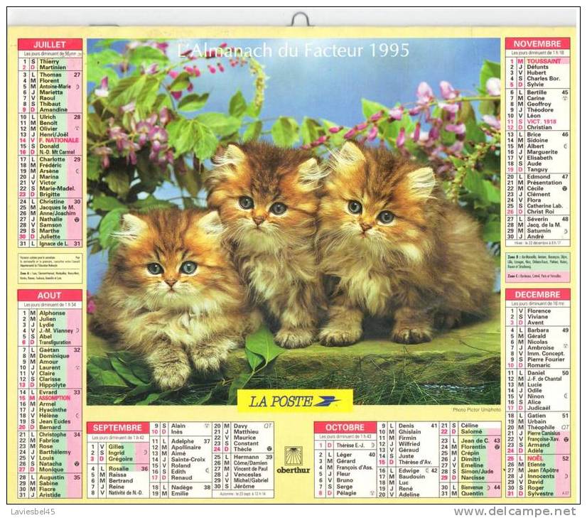 CALENDRIER ALMANACH DU FACTEUR . ANNEE 1995 - Oberthur  - Photos Pictor Uniphoto - Groot Formaat: 1991-00