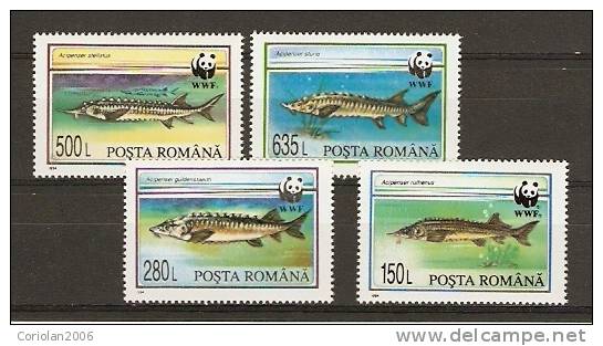 Romania 1994 MNH / Stugeons / 4 Val - Unused Stamps