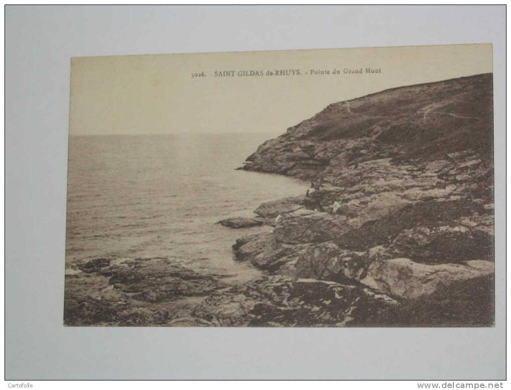 Lot 372   EN ACHAT IMMEDIAT --1- Carte Postale Sur Saint Gildas De Rhuys  Pointe Du Grand Mont - Sarzeau