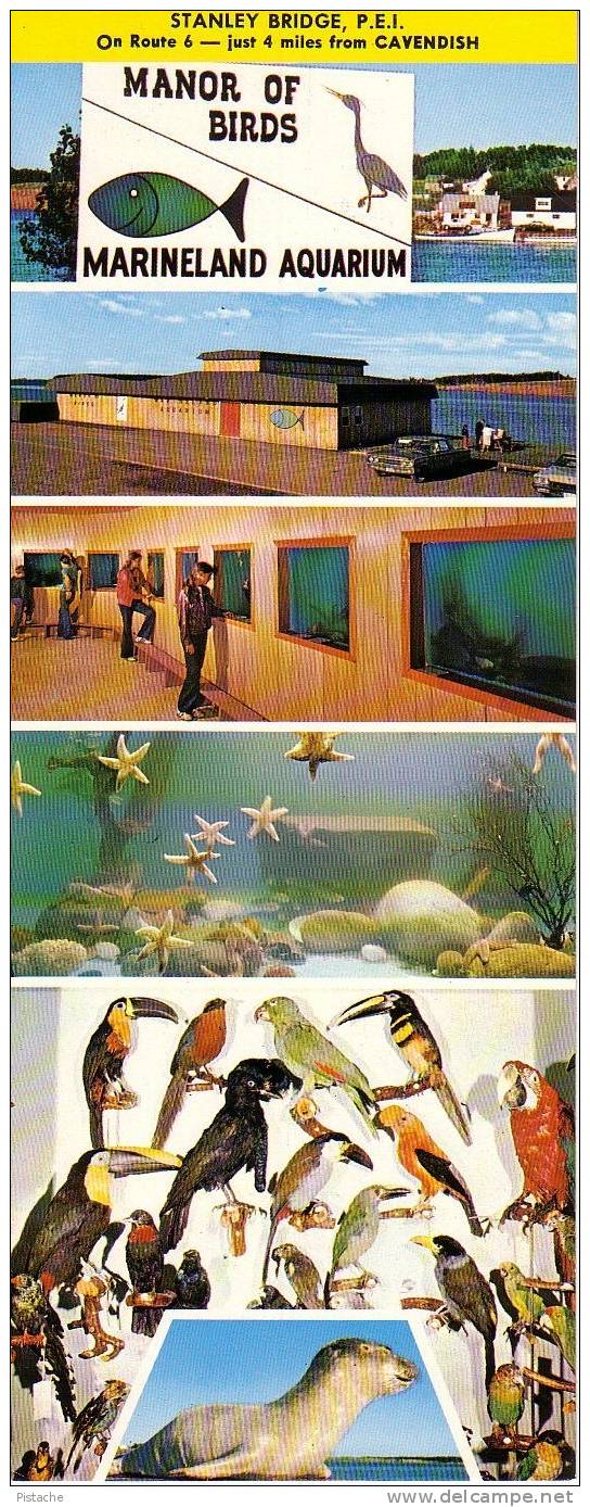 Manor Birds Aquarium Oiseaux - Cavendish Prince-Edward-Island - Publicité - Carte 21cm X 9cm - Sonstige & Ohne Zuordnung