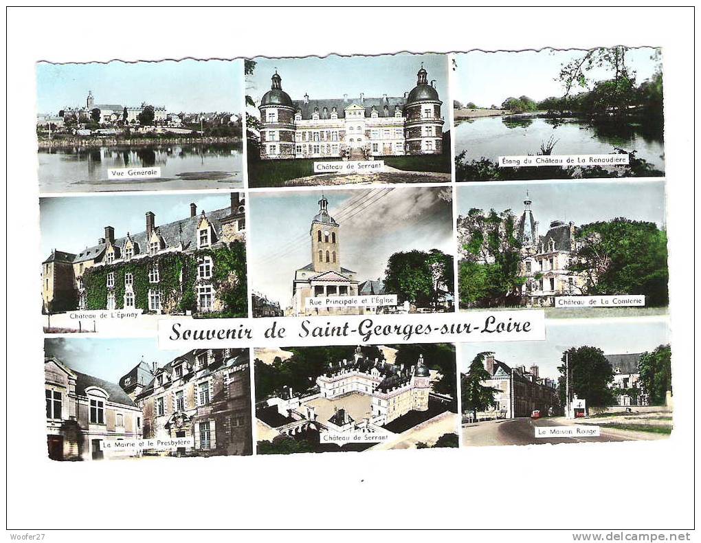 CP SAINT GEORGE SUR LOIRE - Saint Georges Sur Loire