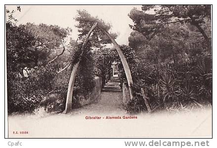 Gibraltar : Alameda Gardens / Carte Précurseur - Gibraltar