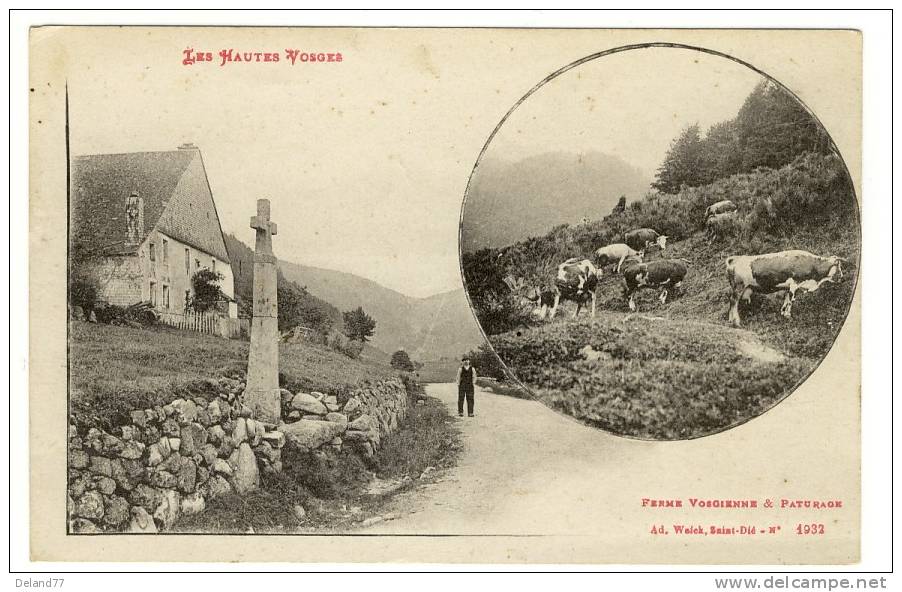 LES HAUTES VOSGES - Ferme Vosgienne Et Paturage - Lorraine