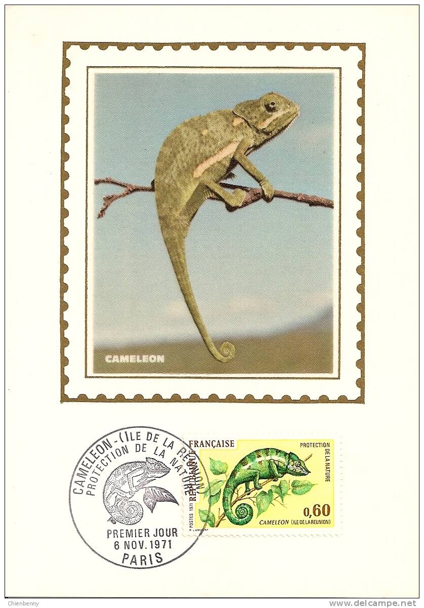 FDC PREMIER JOUR CAMELEON (ILE DE LA REUNION)PROTECTION DE LA NATURE 1971 - 1970-1979