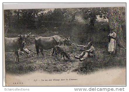 CEVENNES  ...GARD...La Vie Aux Champs... Gardien De Vaches - Autres & Non Classés