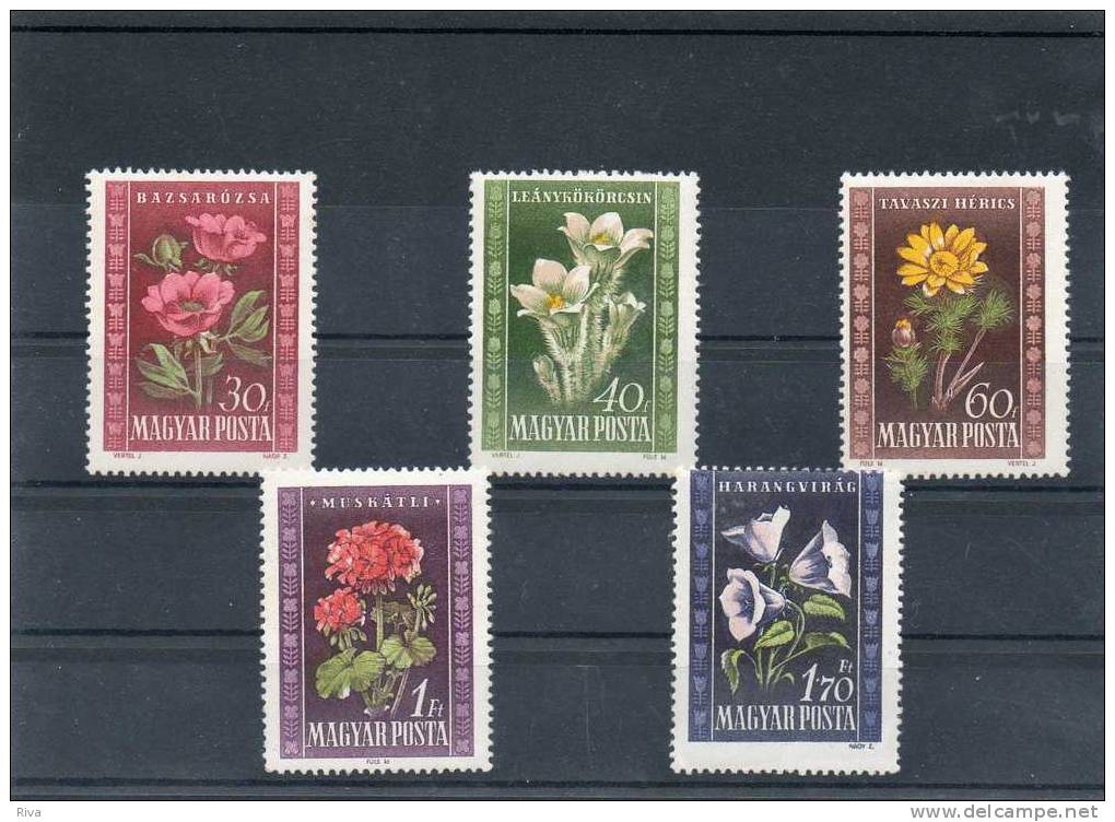 5 Valeurs Thé/ Fleur N° 963/67 ** - Unused Stamps