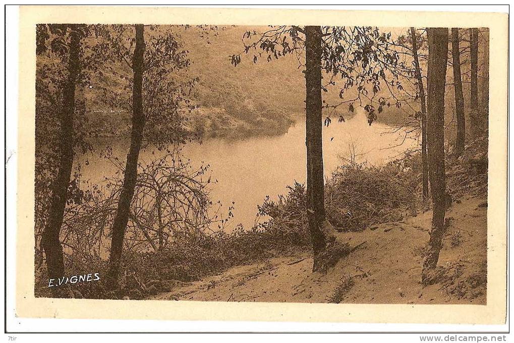 CASTETS DES LANDES Etang D'Ardin - Castets