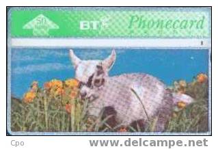 # UK_BT BTC136 Spring In The Air - Flowers & Lamb No4 50 Landis&gyr -animal-  Tres Bon Etat - BT Herdenkingsuitgaven
