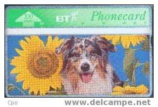 # UK_BT BTC138 Spring In The Air - Sunflower & Dog No2 100 Landis&gyr -animal,chien,dog-  Tres Bon Etat - BT Herdenkingsuitgaven