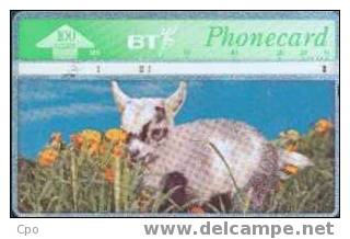 # UK_BT BTC140 Spring In The Air - Flowers  & Lamb No4 100 Landis&gyr  -animal- Tres Bon Etat - BT Herdenkingsuitgaven