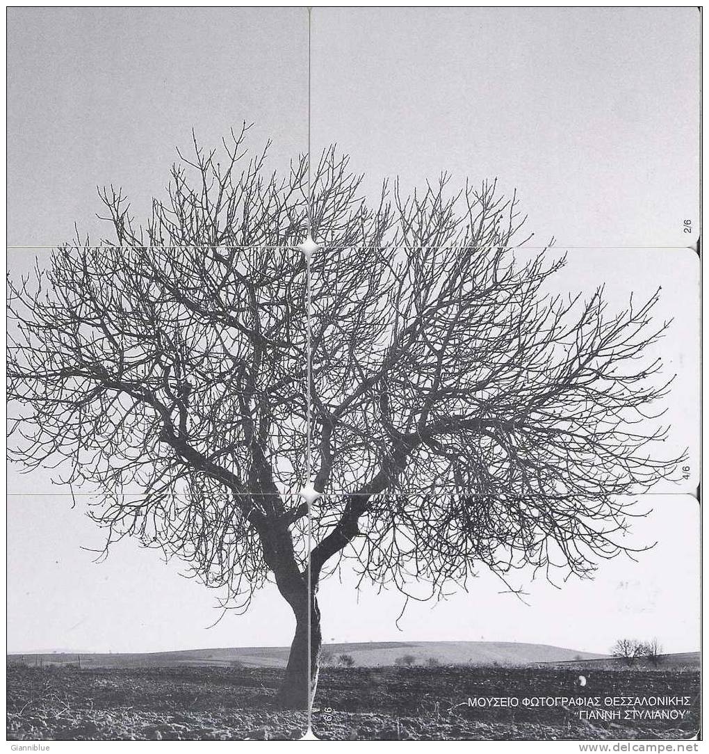 Puzzle - Greece 6 Phonecards Set  - Thessaloniki Photography Museum (tree) - Rompecabezas