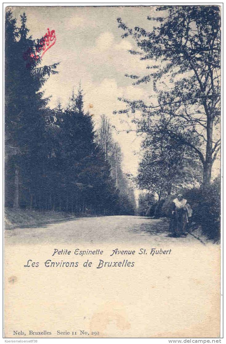 ST-GENESIUS-RHODE - PETITE ESPINETTE - AVENUE ST HUBERT - Rhode-St-Genèse - St-Genesius-Rode