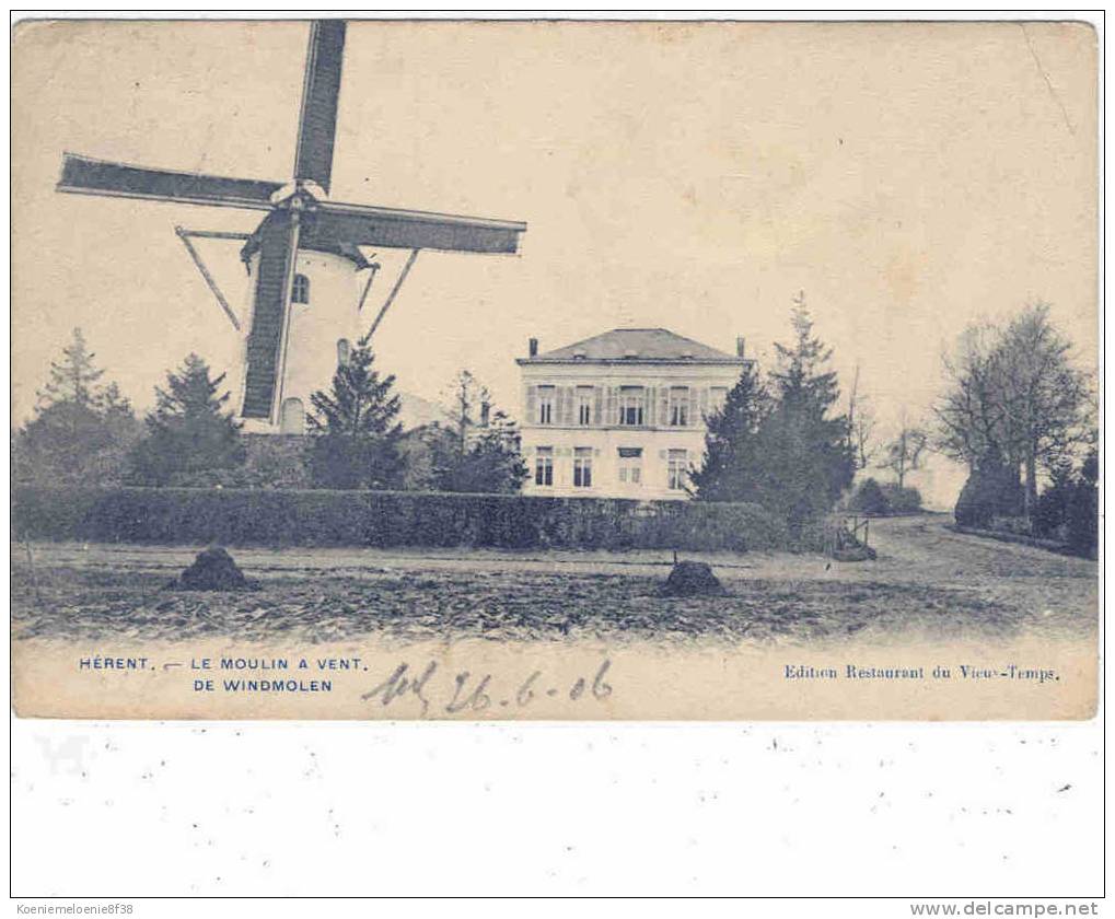 HERENT - DE WINDMOLEN - Herent