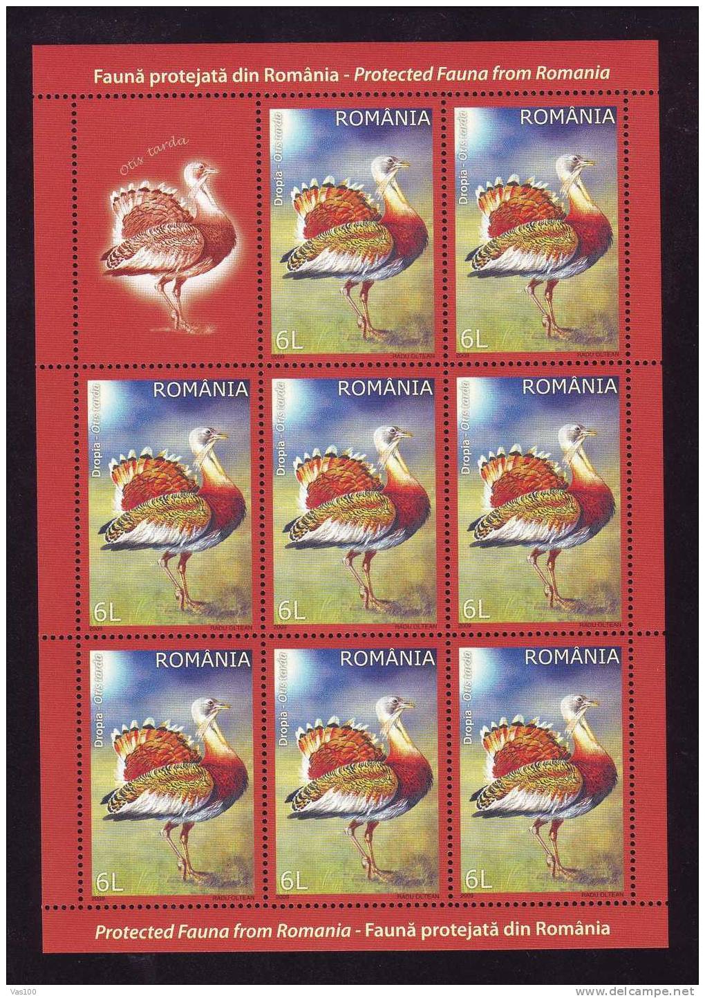 Romania,Protected Fauna 2009 Great Bustard  M/s MNH + Labels. - Perdrix, Cailles