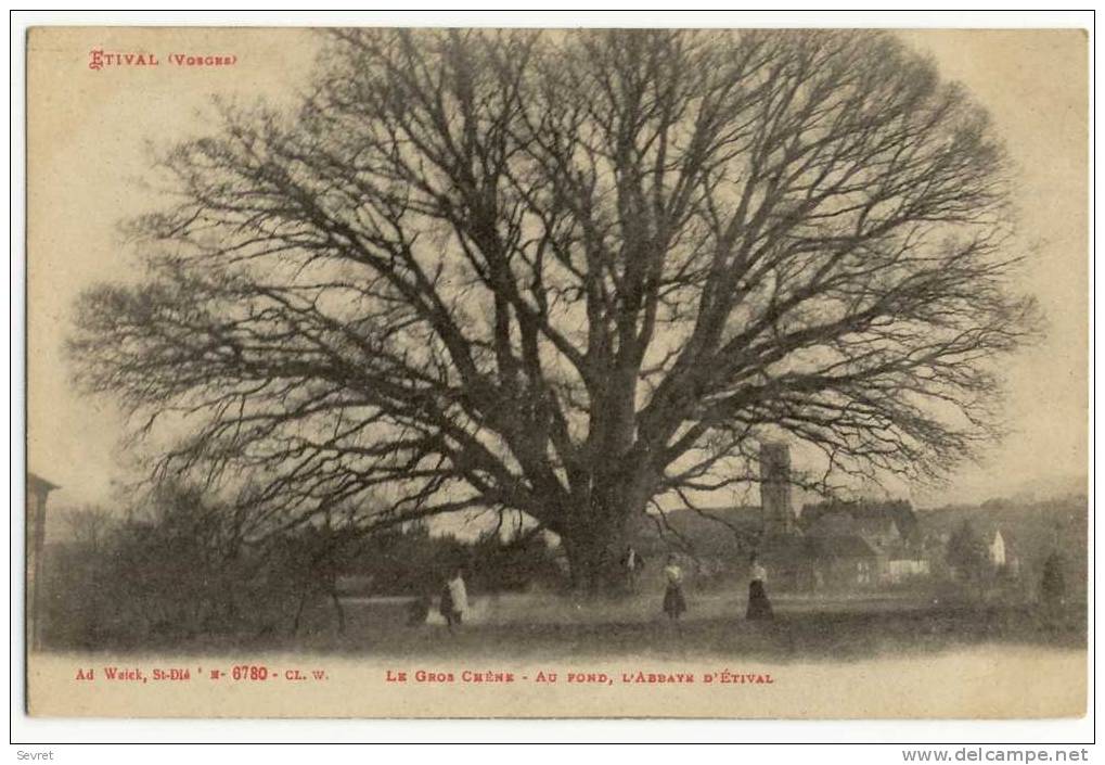 ETIVAL. -  Le Gros Chêne - Au Fond , L'Abbaye D'Etival - Etival Clairefontaine