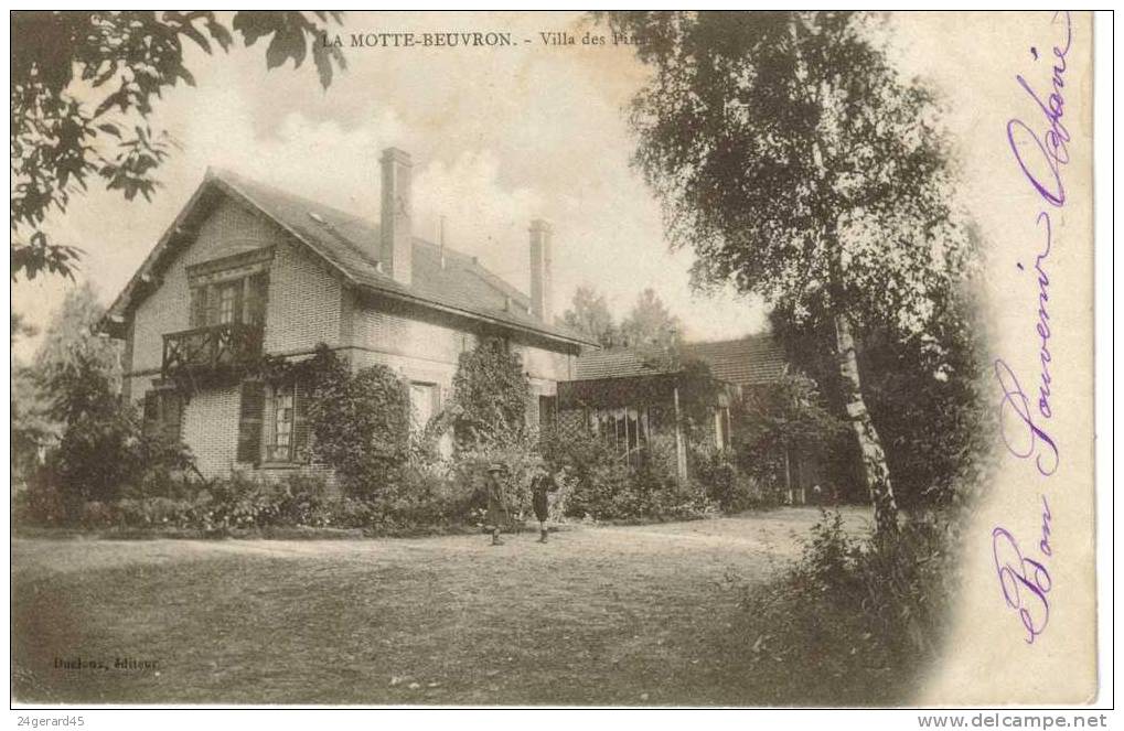 CPA LAMOTTE BEUVRON (Loir Et Cher) - Villa Des Pins - Lamotte Beuvron