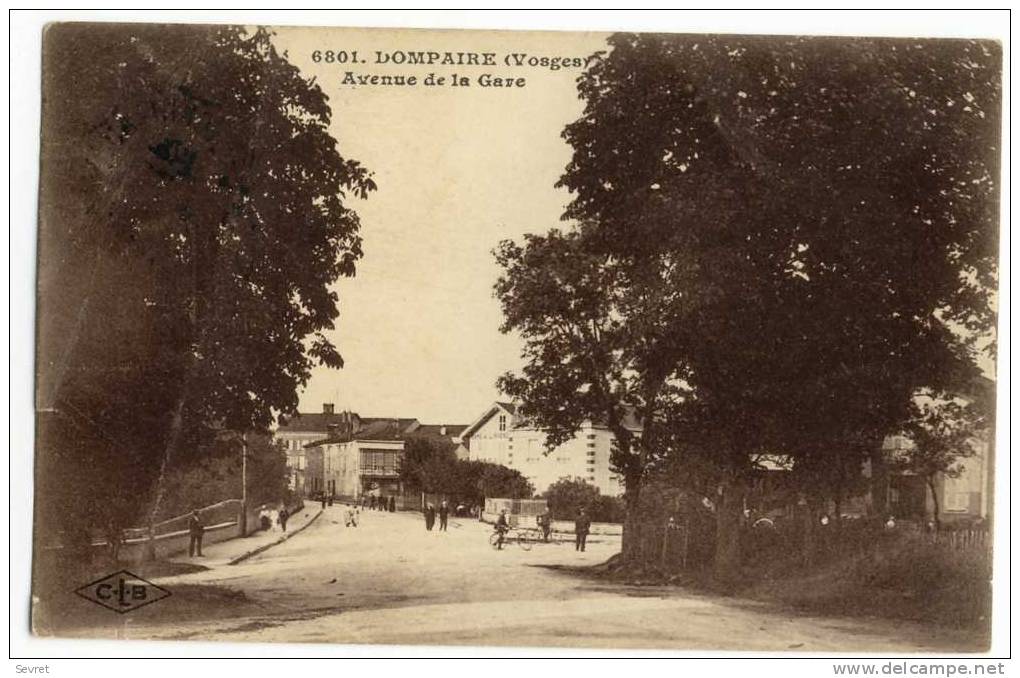 DOMPAIRE. - Avenue De La Gare - Dompaire