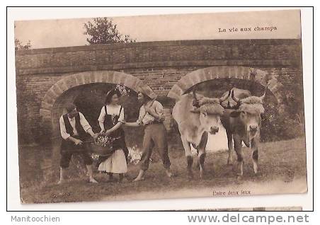 LA VIE AUX CHAMPS ENTRE DEUX FEUX AVEC 2 SUPERBE BOEUFS - Viehzucht