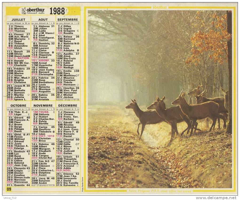 Almanach Du Facteur  1988 - Oise (60) - Grand Format : 1981-90