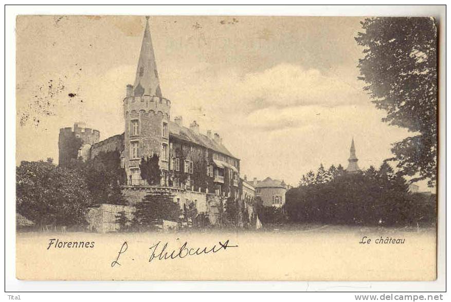 10918 - Florennes - Le Château - Florennes