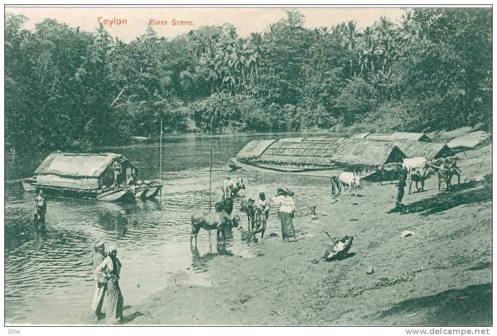 Ceylon River Scène - Oc40 - Sri Lanka (Ceylon)