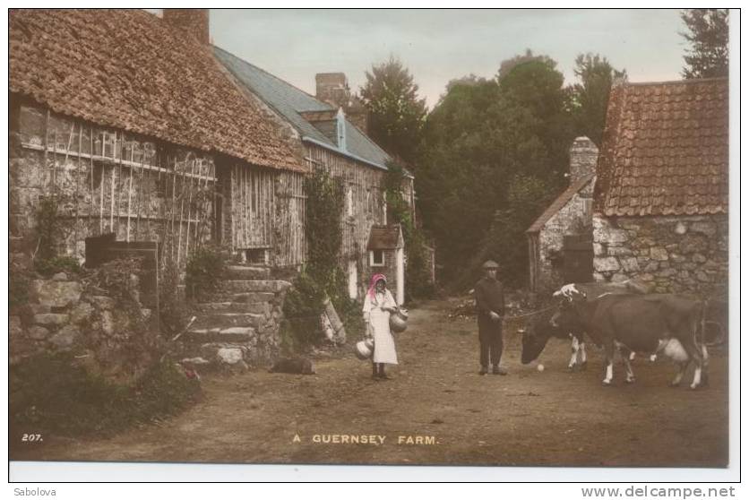 Guernesey Guernsey  A Farm Une Ferme - Guernsey