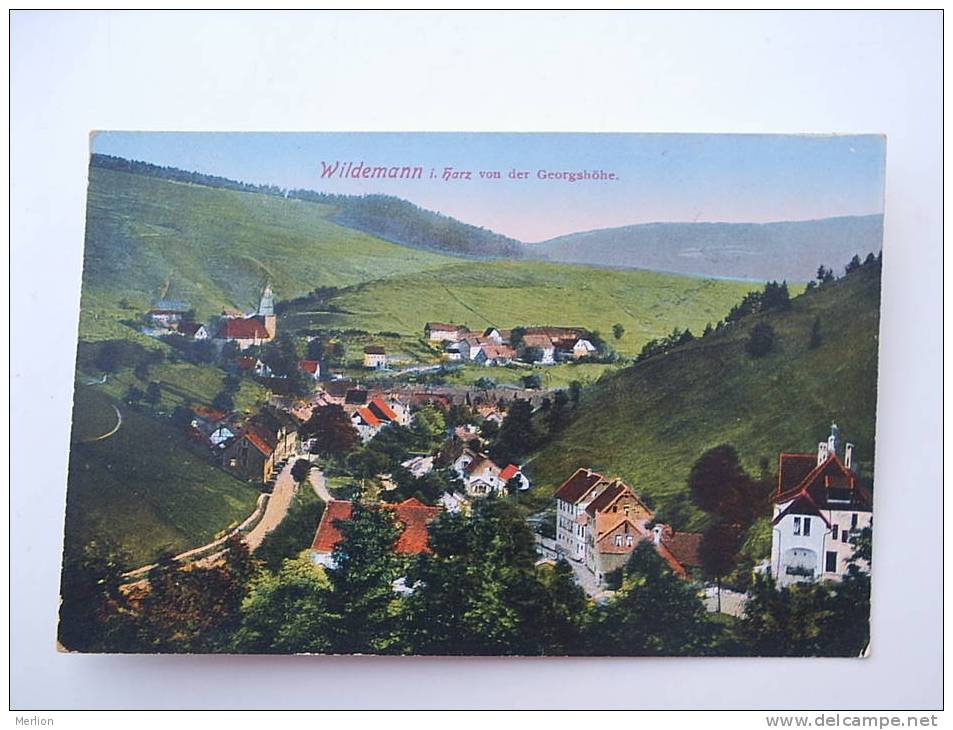 Wildemann I.Harz   Cca 1910's    - VF D54319 - Wildemann