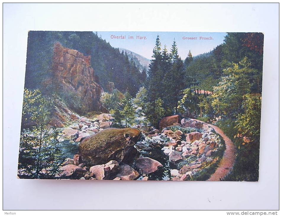 Okertal Im Harz  - Grosser Frosch    Cca 1910's    - VF D54327 - Oberharz