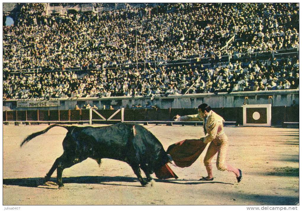 TAUROMACHIE CORRIDA Cpsm Arènes De Nimes Ordonez Mise à Mort - Corrida