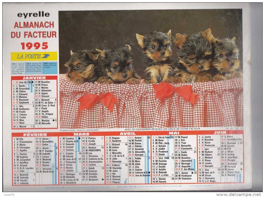 ALMANACH Des PTT 1995  -  EYRELLE -   BOUVIER BERNOIS -  YORKSHIRE TERRIER -  . - Autres & Non Classés