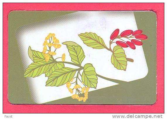 NEW CARD   M074  Clip Art Flower - Griechenland