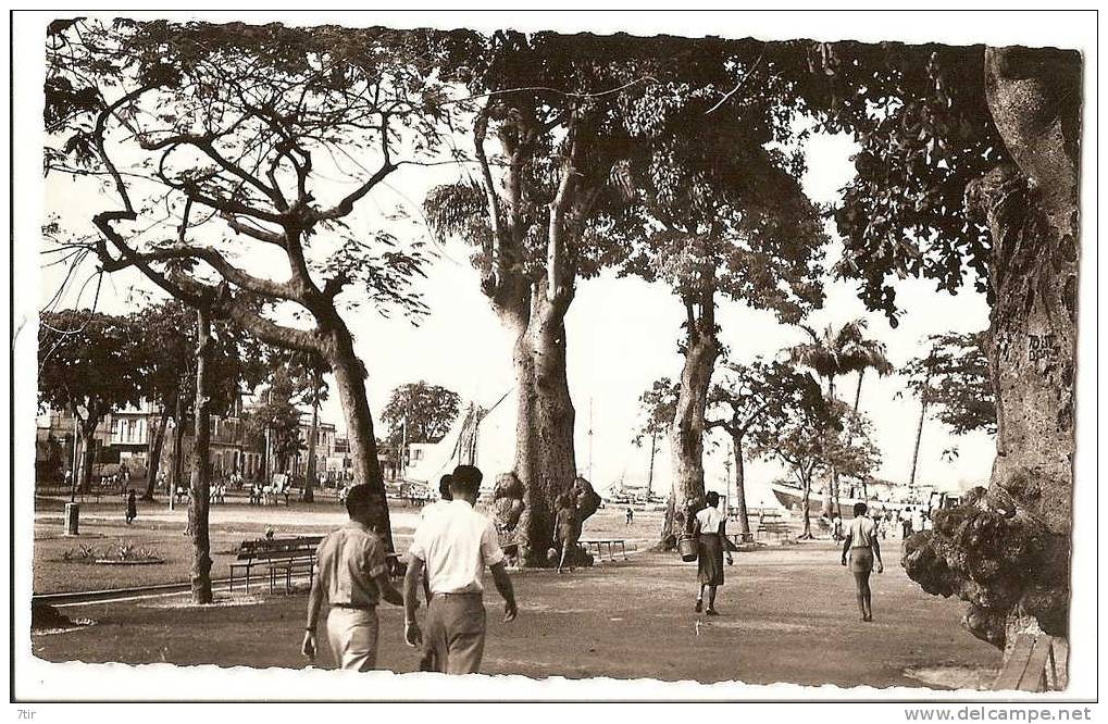 POINTE A PITRE Place De La Victoire Dans L'allée Matinale - Pointe A Pitre