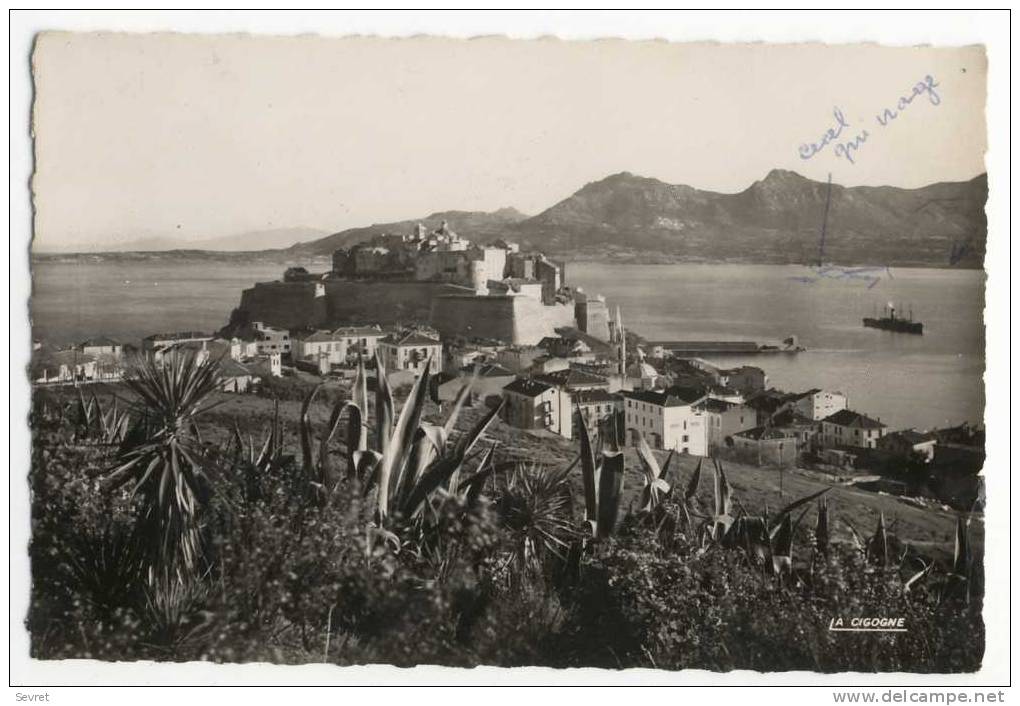 20  -  CALVI - Vue Sur Le Golfe. CPSM 9x14 - Calvi