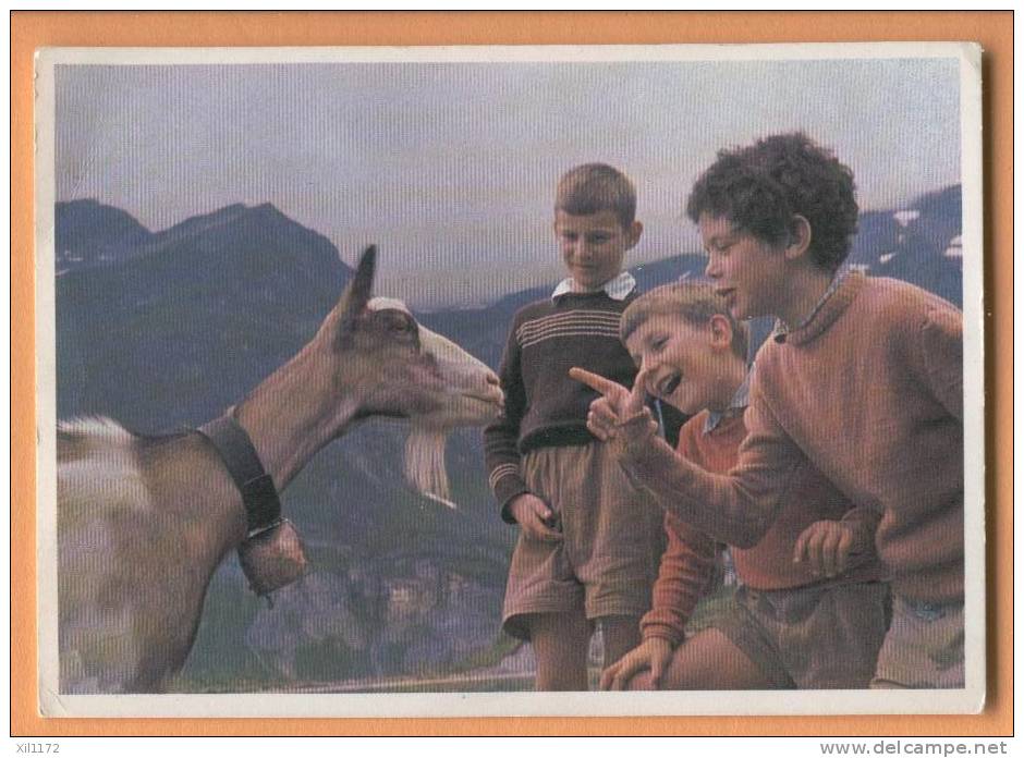 Ch061 Giétroz Finhaut, 3 Enfants Jouant Avec Chèvre.A La Colonie : La Leçon De Calcul.  Le Servan, Foyer. - Finhaut