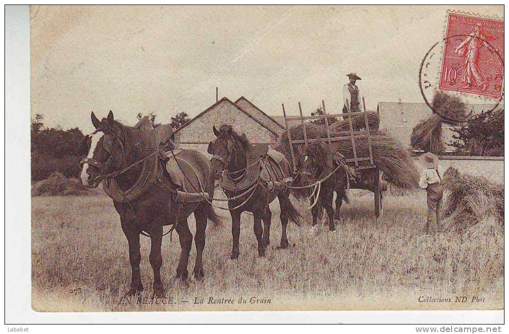 En Beauce La Rentrée Du Grain - Centre-Val De Loire