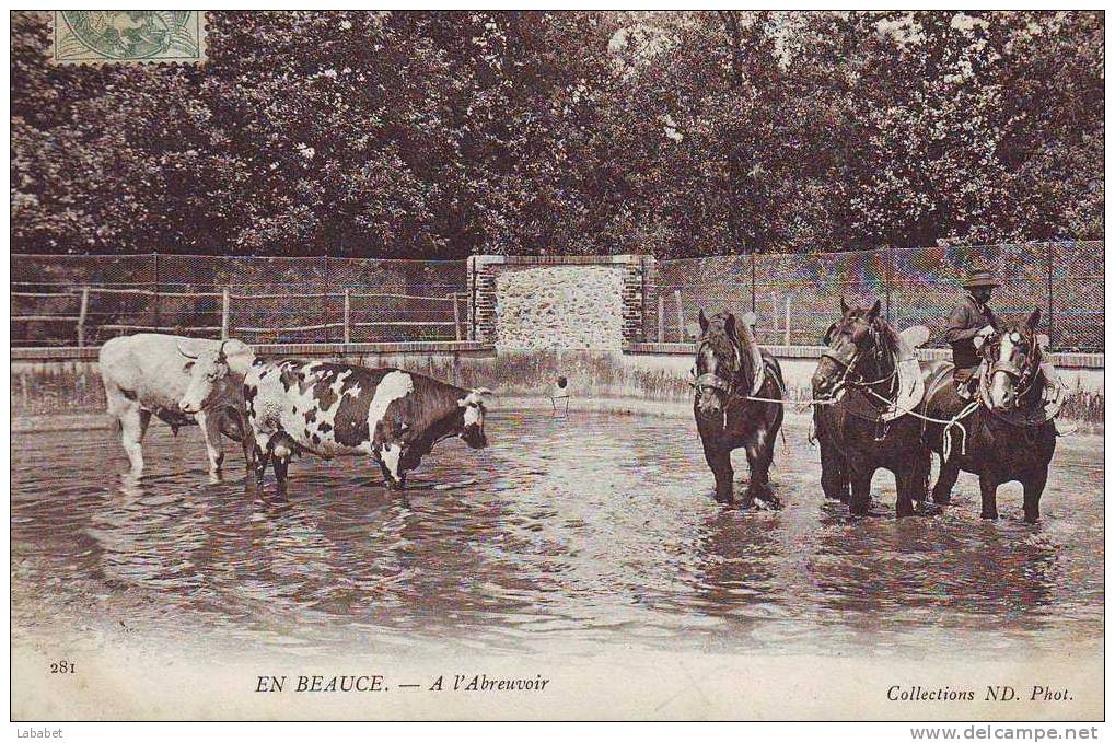 En Beauce  A L'abreuvoir - Centre-Val De Loire